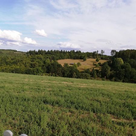 Ferienwohnung Altmaier - Ferien Auf Dem Lande Griebelschied Buitenkant foto