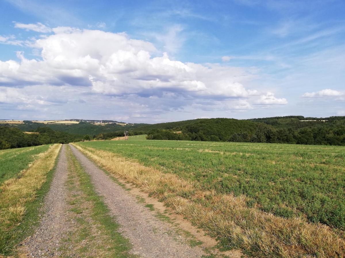 Ferienwohnung Altmaier - Ferien Auf Dem Lande Griebelschied Buitenkant foto